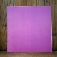 図録　チェコガラスの美　ボヘミアン・グラス　18世紀～19世紀　特別展　町田市立博物館所蔵　