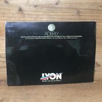 フランス　リヨン　ガイドブック