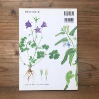 ボタニカルアート手帖