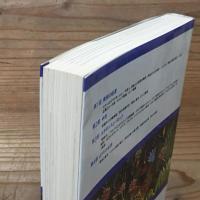 美術の歴史 A Basic History of Art