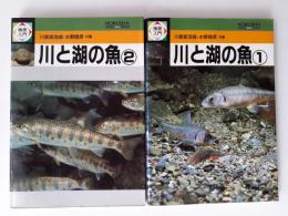 検索入門川と湖の魚　全2揃