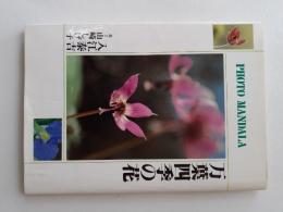 万葉四季の花