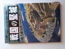 戦国の堅城 : 築城から読み解く戦略と戦術