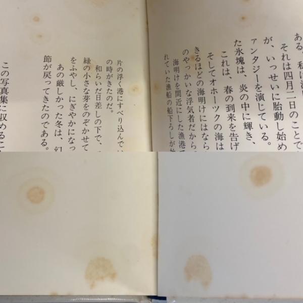 白い太陽 : オホーツクの美 志賀芳彦写真集(志賀芳彦 写真