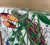 原色牧野和漢薬草大図鑑