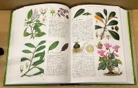 原色牧野和漢薬草大図鑑