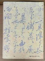 平泉博士史論抄 : 歴史観を主として