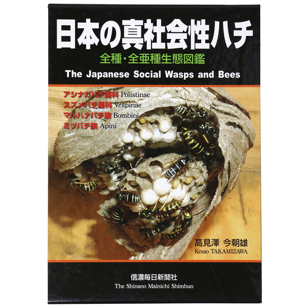 日本の真社会性ハチ 全種・全亜種生態図鑑(高見澤今朝雄) / 古本