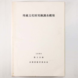 埋蔵文化財発掘調査概報　第2分冊
