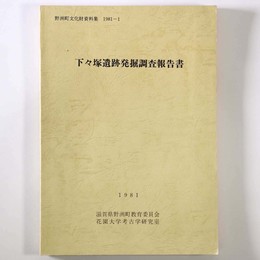 下々塚遺跡発掘調査報告書