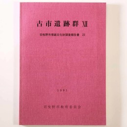 古市遺跡群12