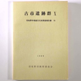 古市遺跡群10