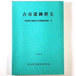 古市遺跡群9