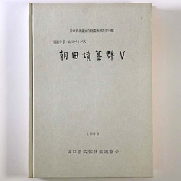 朝田墳墓群５　国道9号・山口バイパス