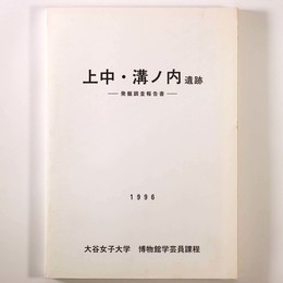 上中・溝ノ内遺跡　発掘調査報告書