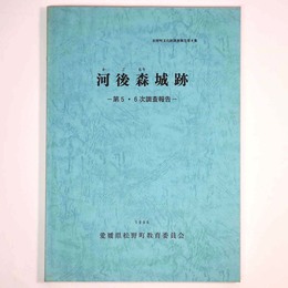 河後森城跡　第5・6次調査報告