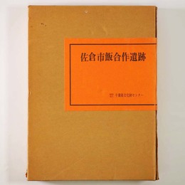 佐倉市飯合作遺跡