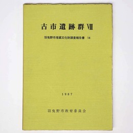 古市遺跡群8