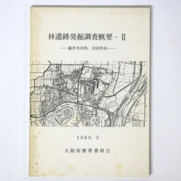 林遺跡発掘調査概要2　藤井寺市林・沢田所在