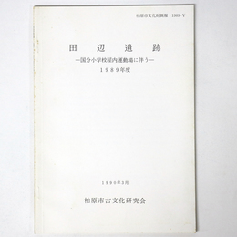 田辺遺跡　国分小学校屋内運動場に伴う 1989年度