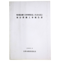 特別史跡臼杵磨崖仏（大日石仏）保存整備工事報告書