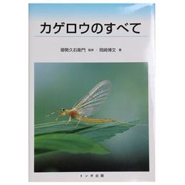 カゲロウのすべて