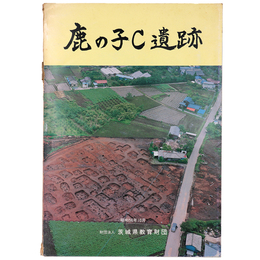 鹿の子C遺跡