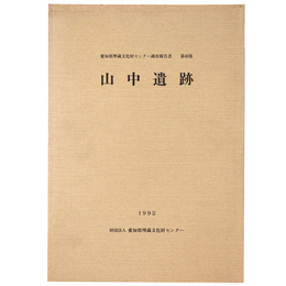 山中遺跡（愛知県埋蔵文化財センター調査報告書40）
