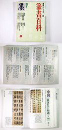 墨　1994年10月臨時増刊　書体シリーズ6　v百科