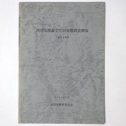 池田市埋蔵文化財発掘調査概報　1989年度