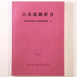 古市遺跡群12