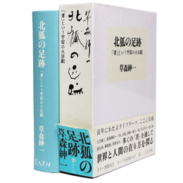 北狐の足跡 「書」という宇宙の大活劇
