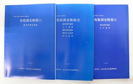 東海北陸自動車道関連発掘調査概報1～3　3冊一括