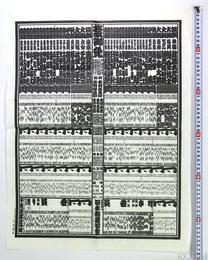 大相撲番付表 平成14年九州場所 横綱 貴乃花光司 武蔵丸光洋