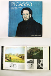 Picasso: The Early Years 1881-1907