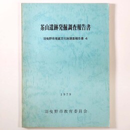 茶山遺跡発掘調査報告書