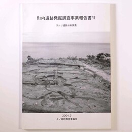 町内遺跡発掘調査事業報告書　7