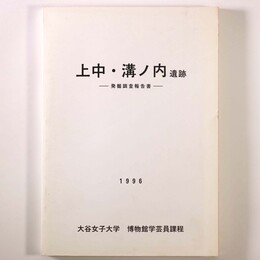上中・溝ノ内遺跡　発掘調査報告書