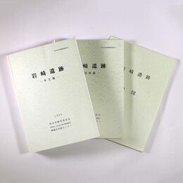 岩崎遺跡　本文・図版・付図