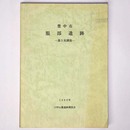 豊中市　服部遺跡　第５次調査