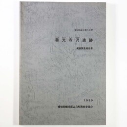 善光寺沢遺跡発掘調査報告書