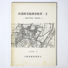 林遺跡発掘調査概要2　藤井寺市林・沢田所在