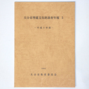 大分市埋蔵文化財調査年報5　平成5年度