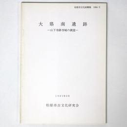 大県南遺跡　山下寺跡寺域の調査