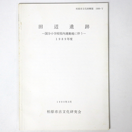 田辺遺跡　国分小学校屋内運動場に伴う 1989年度