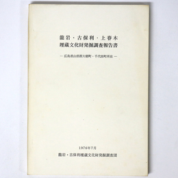 龍岩・古保利・上春木埋蔵文化財発掘調査報告書　広島県山県郡大朝町・千代田町所在