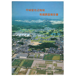 平城宮北辺地域発掘調査報告書
