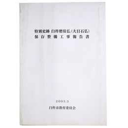 特別史跡臼杵磨崖仏（大日石仏）保存整備工事報告書