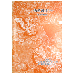 小阪遺跡（その6-3）調査の概要