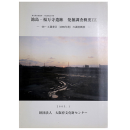 池島・福万寺遺跡　発掘調査概要30　99ー2 調査区（1999年度）の調査概要
